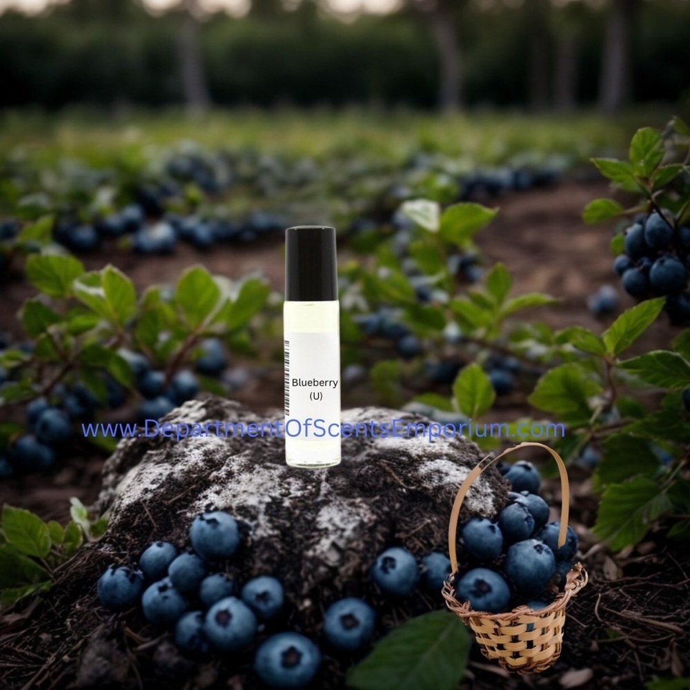 Blueberry Unisex 1/3 Oz Fragrance Oil Rollerball Paraben Free Vegetable Oil